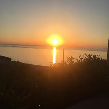 アエリデス Houlakia